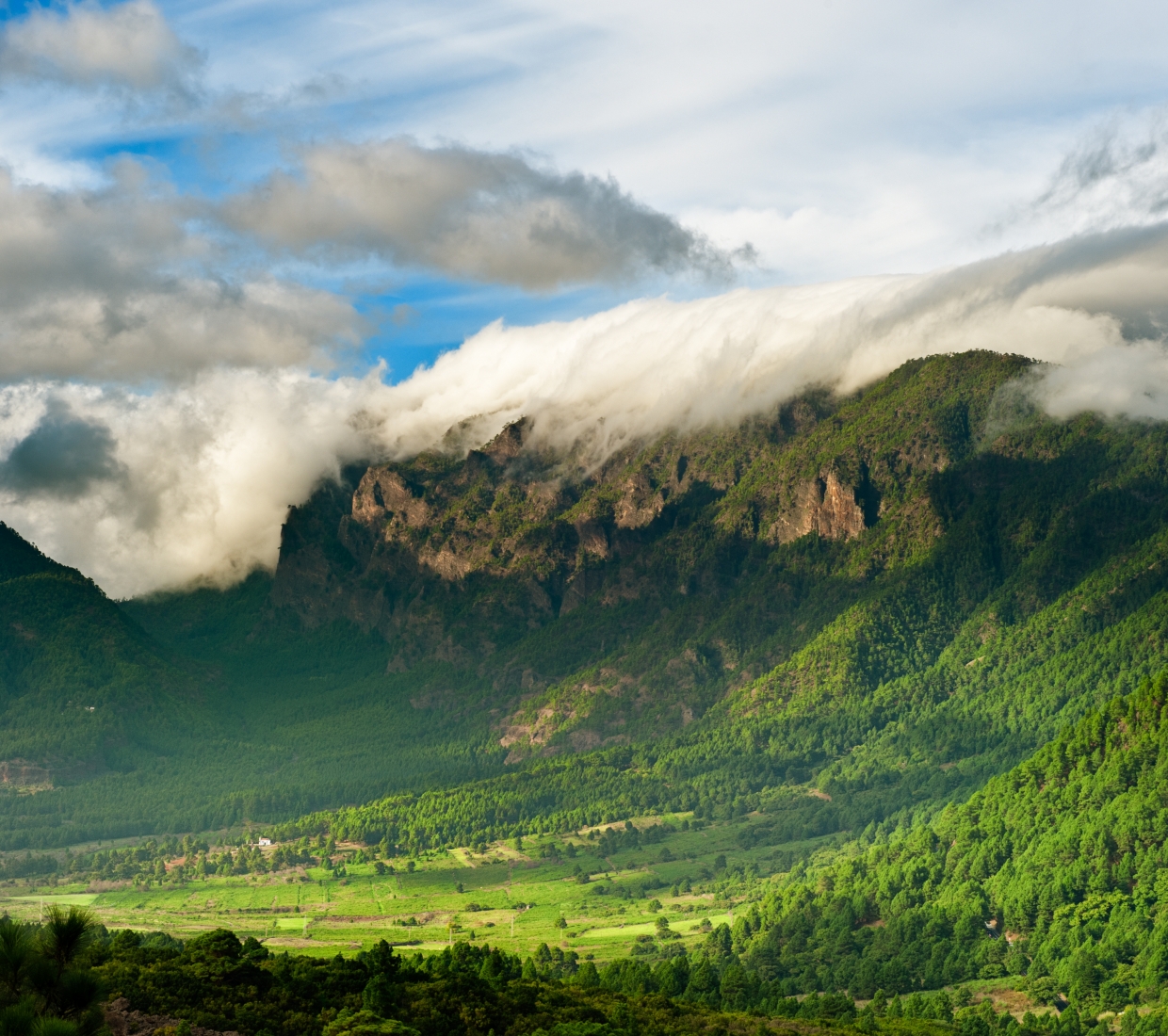 Las Palmas de Gran Canarias