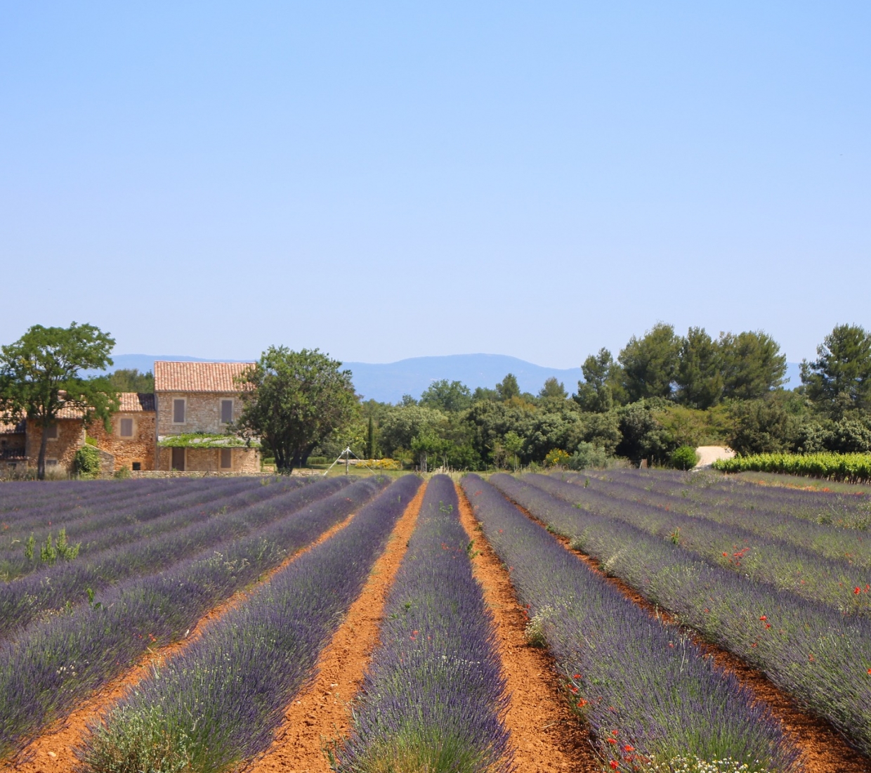 Alpes-de-Haute-Provence