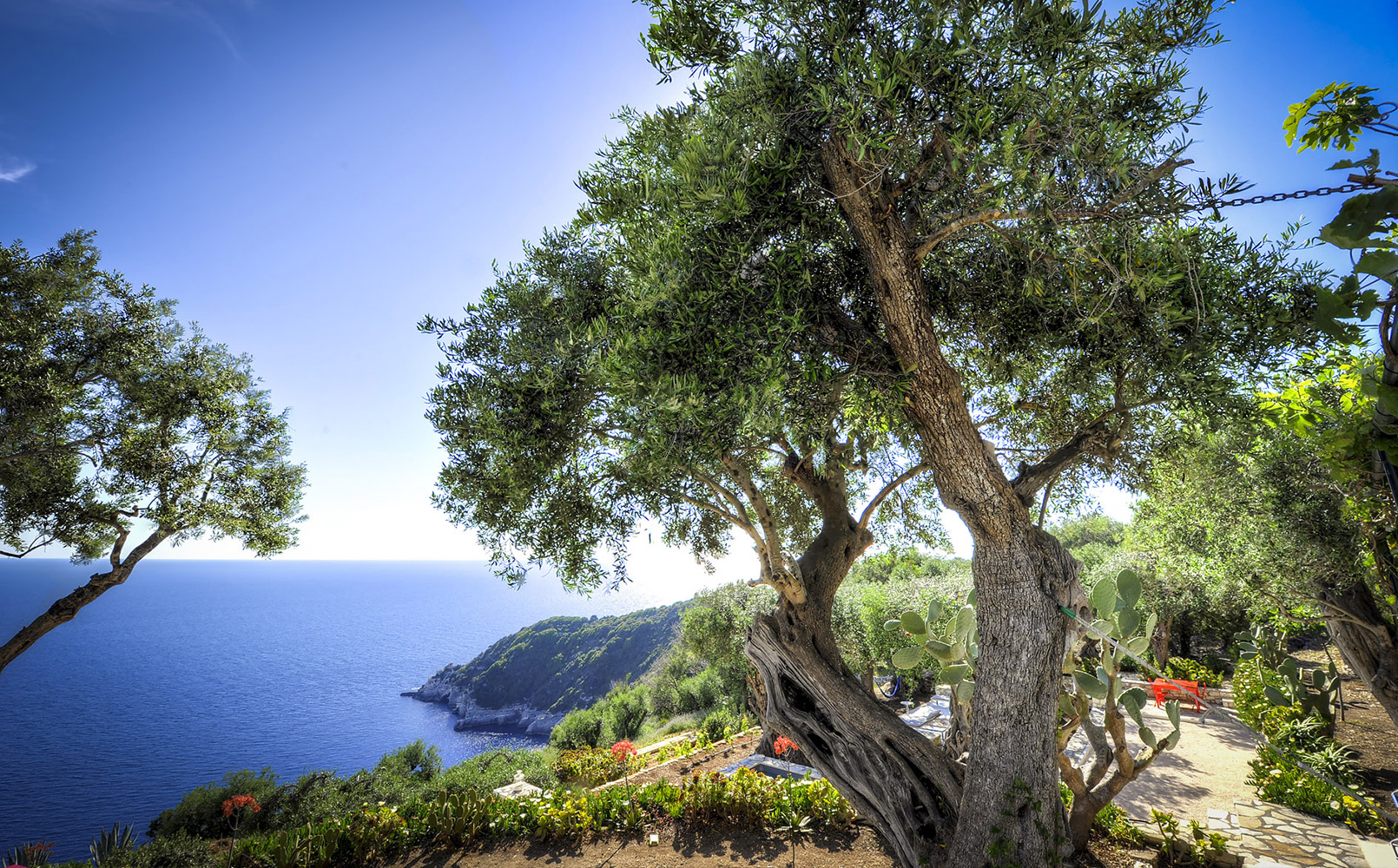 Reiseführer zu besonders schönen Unterkünften in Paxos