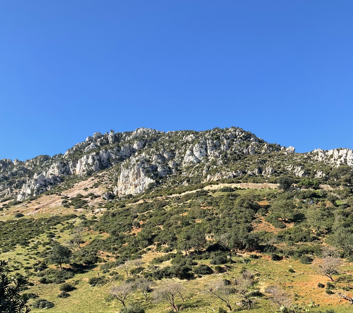 Tanger-Tetouan