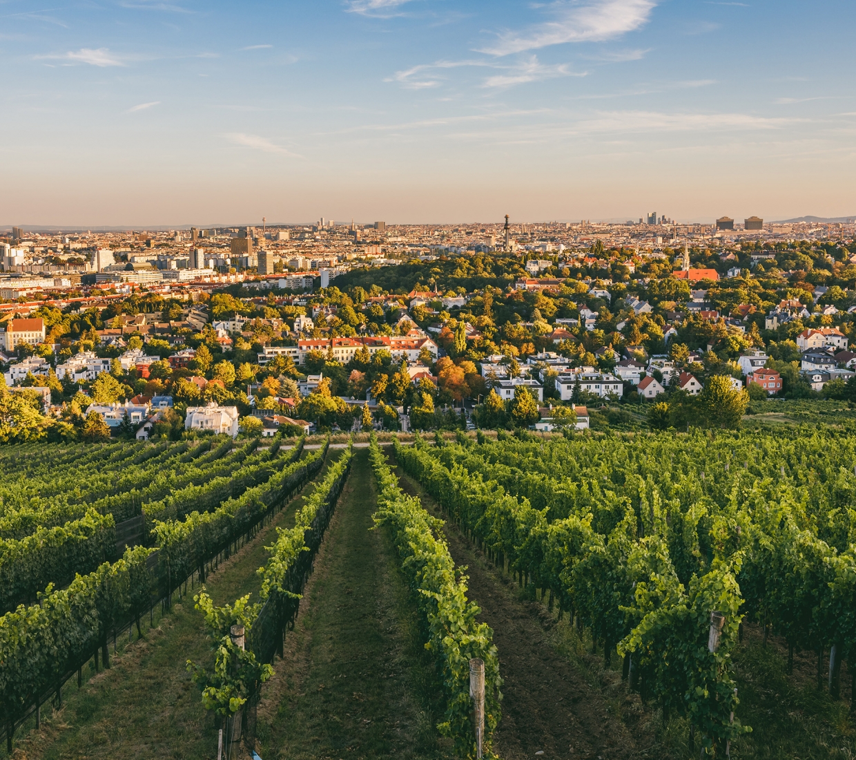 Handverlesene Auswahl der schönsten Unterkünfte in Wien