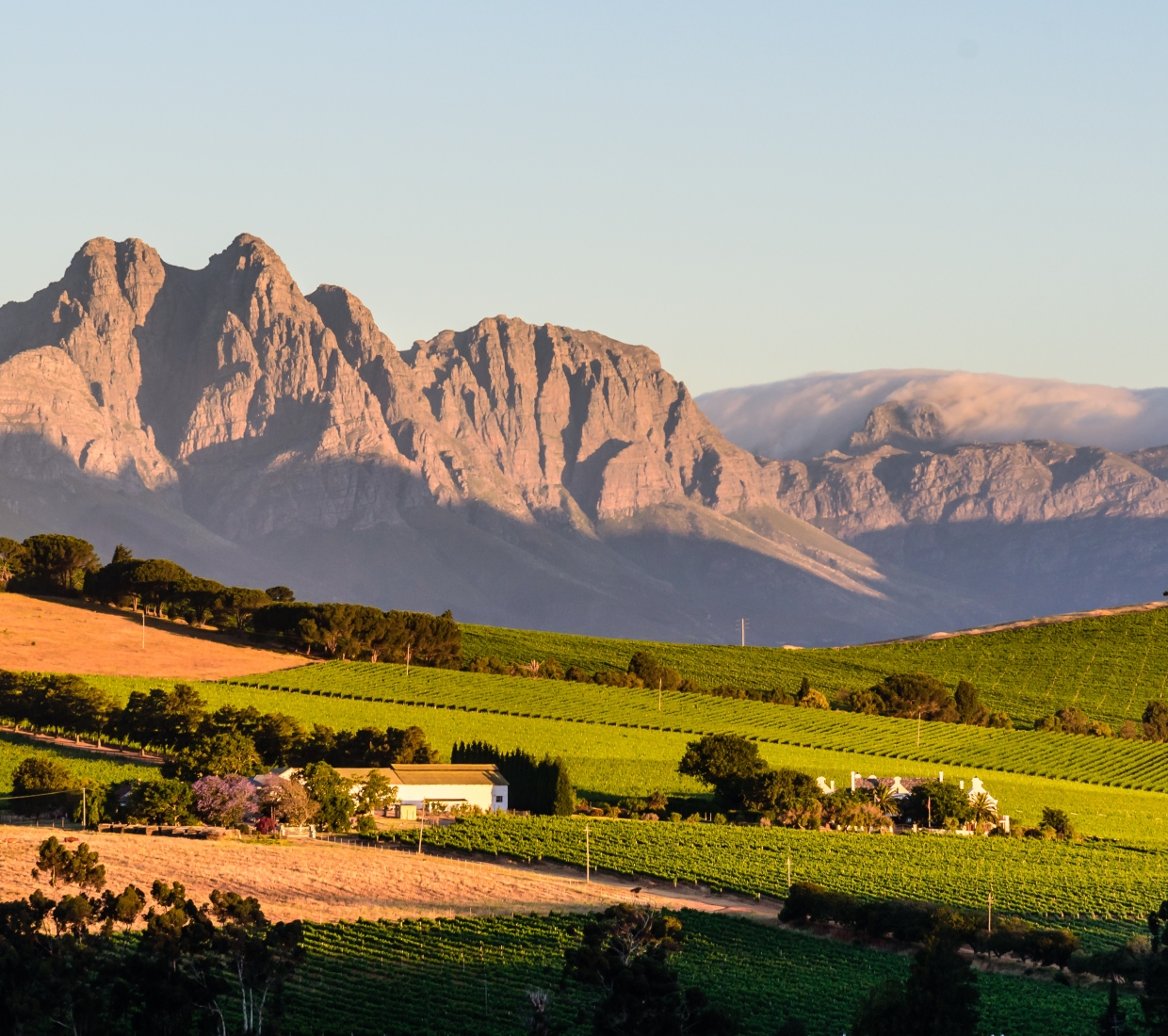 Reiseführer zu besonders schönen Unterkünften in Cape Winelands