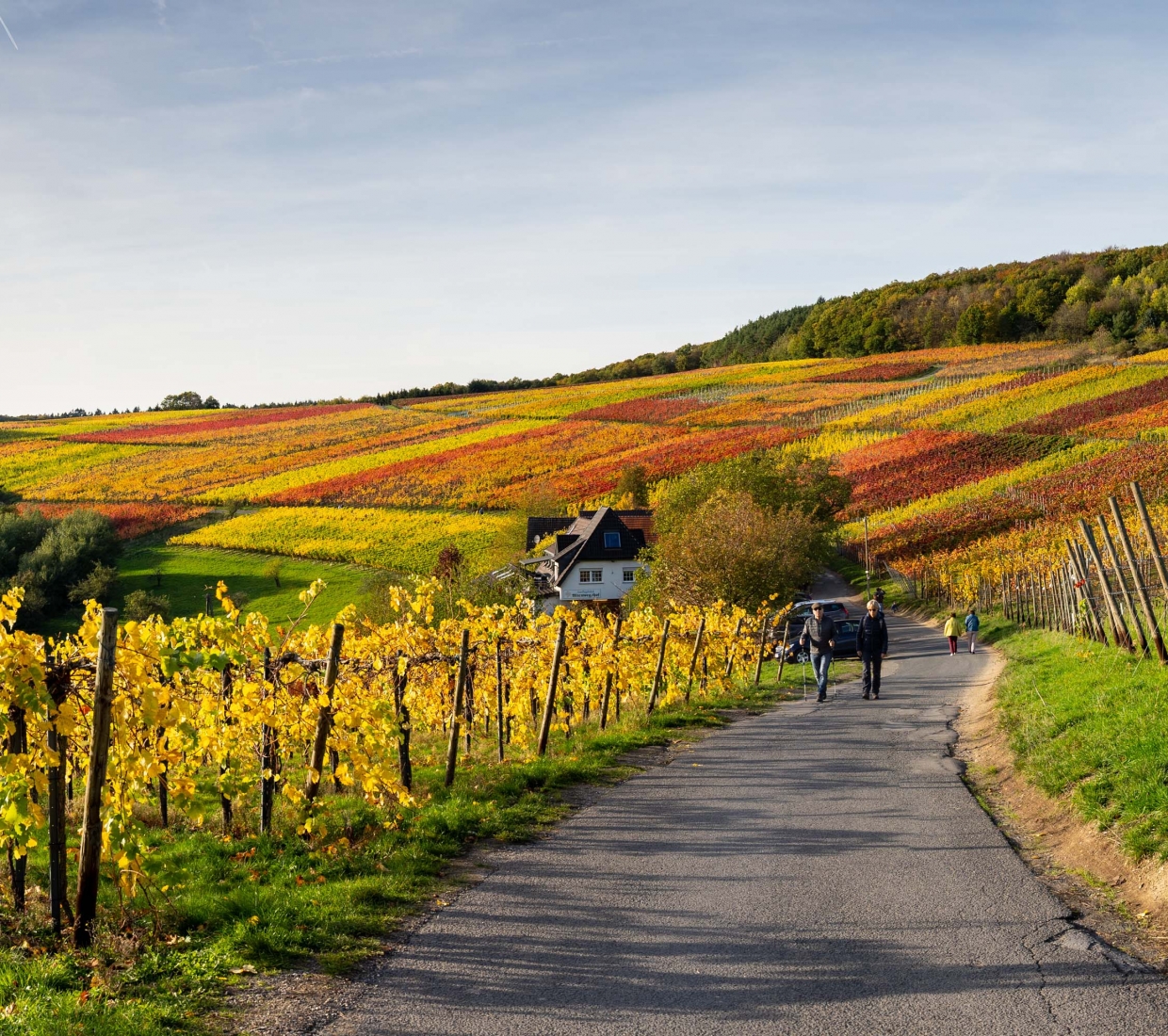 Reiseführer zu besonders schönen Unterkünften in Rheinland-Pfalz