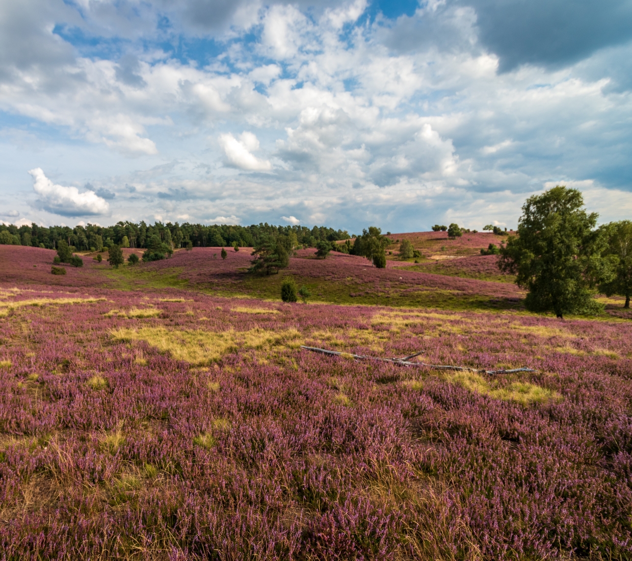 Die besten Boutique & Romantik Hotels und Ferienwohnungen Niedersachsen