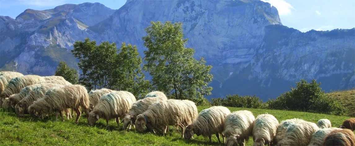 Auf Nach Gers