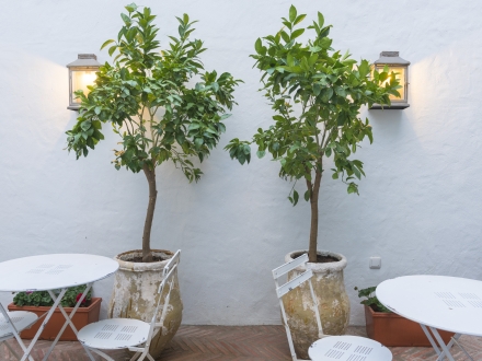 Casa Shelly Hospedería