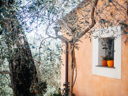 Agriturismo I Freschi - Ferienwohnungen in San Bartolomeo al Mare, Ligurien